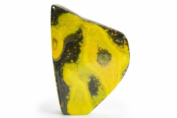 Very Vibrant, Free-Standing Polished Bumblebee Jasper #312045